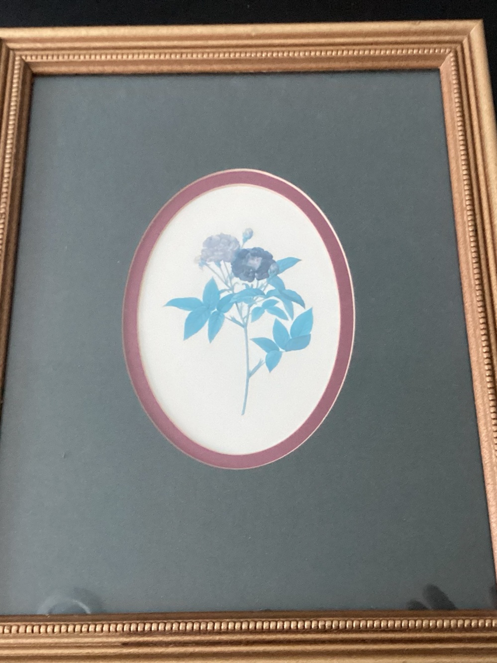 Vtg. Framed and Matted Botanical Print, Classic Floral Illustration, oval mat